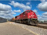 CP 7056